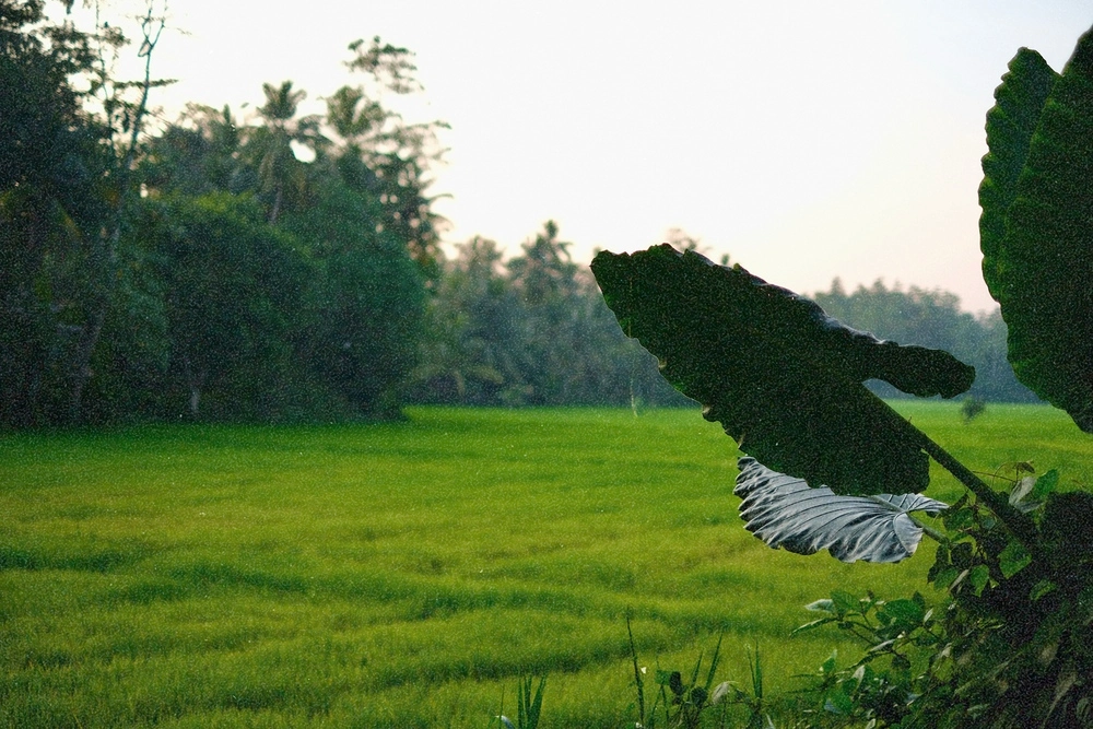 travel-sri-lanka 2